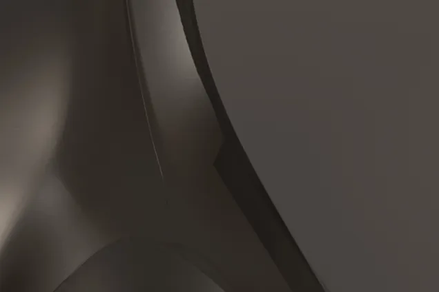 a closeup of a 3D-render with smooth black shapes. 