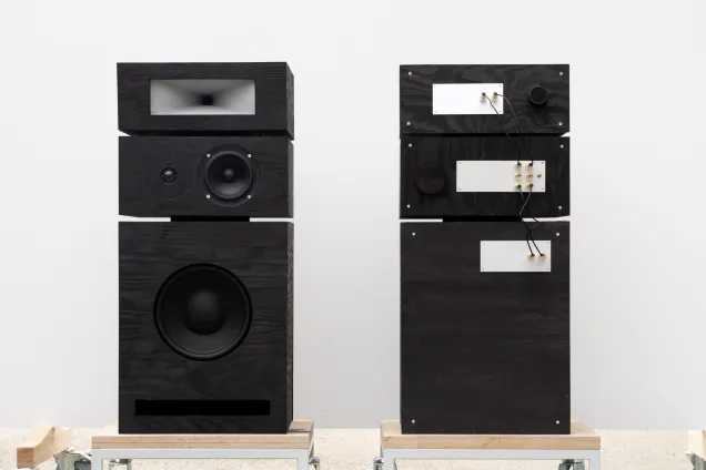 two modular speakers in black stained wood. Photo. 