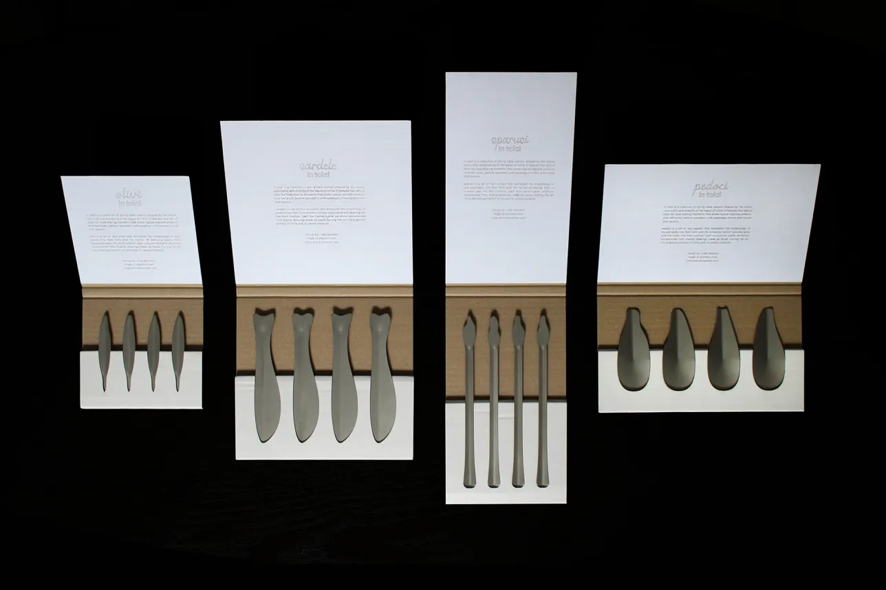 Dining table utensils laid out in packaging. Photo. 